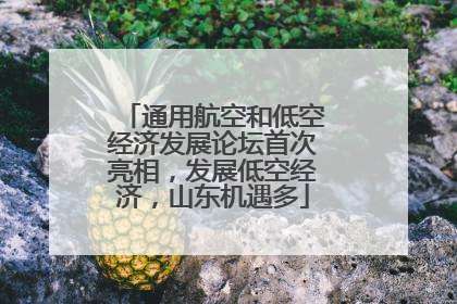 通用航空和低空经济发展论坛首次亮相，发展低空经济，山东机遇多