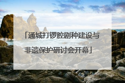 通城打锣腔剧种建设与非遗保护研讨会开幕