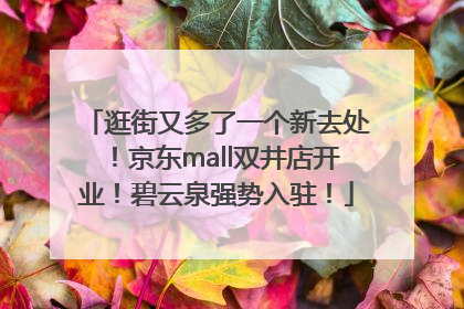 逛街又多了一个新去处！京东mall双井店开业！碧云泉强势入驻！