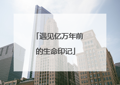 遇见亿万年前的生命印记