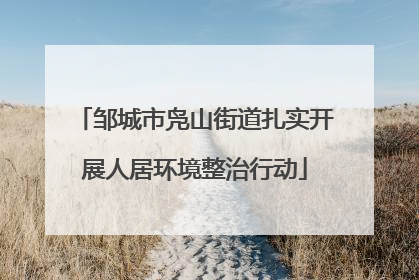 邹城市凫山街道扎实开展人居环境整治行动