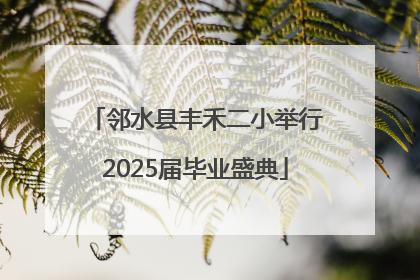 邻水县丰禾二小举行2025届毕业盛典