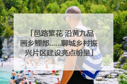 邑路繁花 沿黄九品 画乡鲤都……聊城乡村振兴片区建设亮点纷呈