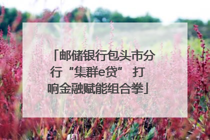 邮储银行包头市分行“集群e贷” 打响金融赋能组合拳