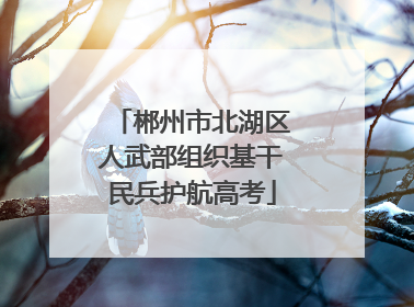 郴州市北湖区人武部组织基干民兵护航高考