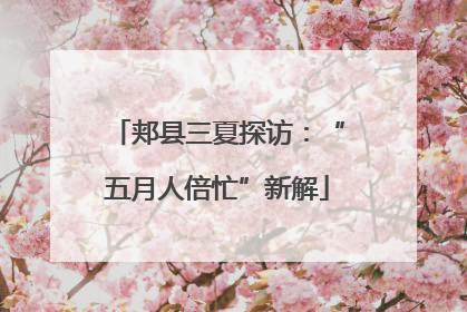 郏县三夏探访：“五月人倍忙”新解