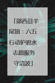 郧西县羊尾镇：六五行动护碧水 志愿服务守清波