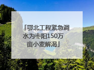 鄂北工程紧急调水为枣阳150万亩小麦解渴
