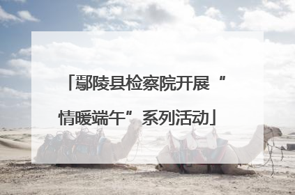 鄢陵县检察院开展“情暖端午”系列活动