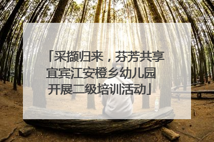 采撷归来，芬芳共享 宜宾江安橙乡幼儿园开展二级培训活动
