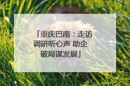 重庆巴南：走访调研听心声 助企破局谋发展