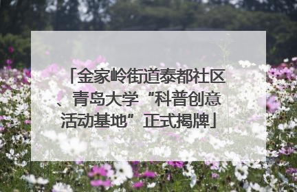 金家岭街道泰都社区、青岛大学“科普创意活动基地”正式揭牌