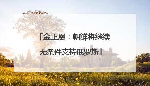 金正恩：朝鲜将继续无条件支持俄罗斯
