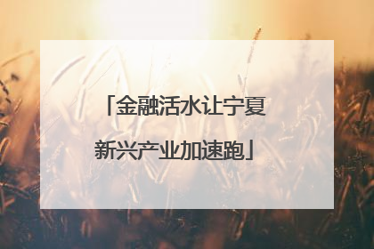 金融活水让宁夏新兴产业加速跑