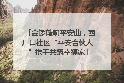 金锣敲响平安曲，西厂口社区“平安合伙人”携手共筑幸福家