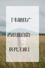 韦韬任广西壮族自治区代主席
