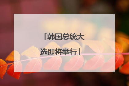 韩国总统大选即将举行