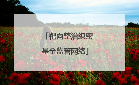 靶向整治织密基金监管网络