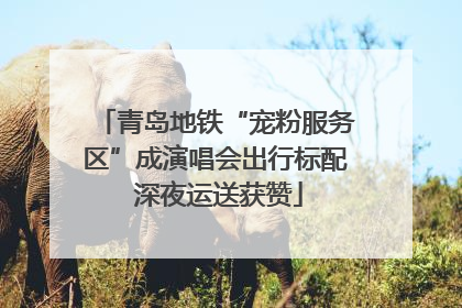青岛地铁“宠粉服务区”成演唱会出行标配 深夜运送获赞