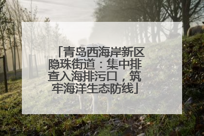 青岛西海岸新区隐珠街道：集中排查入海排污口，筑牢海洋生态防线