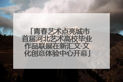 青春艺术点亮城市 首届河北艺术高校毕业作品联展在新汇文·文化创意体验中心开幕