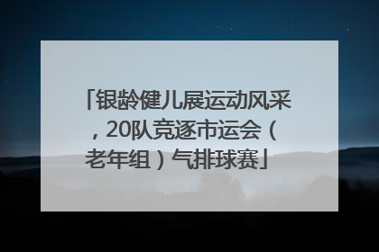 银龄健儿展运动风采，20队竞逐市运会（老年组）气排球赛