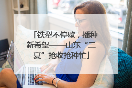 铁犁不停歇，播种新希望——山东“三夏”抢收抢种忙