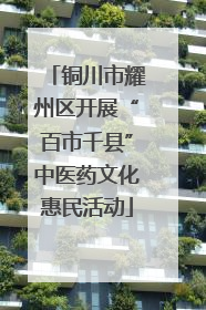 铜川市耀州区开展“百市千县”中医药文化惠民活动