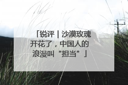 锐评｜沙漠玫瑰开花了，中国人的浪漫叫“担当”