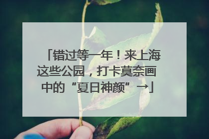 错过等一年！来上海这些公园，打卡莫奈画中的“夏日神颜”→