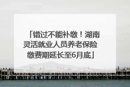 错过不能补缴！湖南灵活就业人员养老保险缴费期延长至6月底