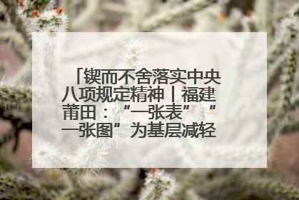 锲而不舍落实中央八项规定精神丨福建莆田：“一张表”“一张图”为基层减轻“数字负担”