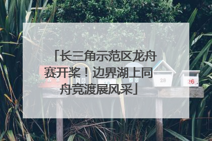 长三角示范区龙舟赛开桨！边界湖上同舟竞渡展风采