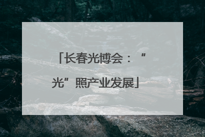 长春光博会：“光”照产业发展