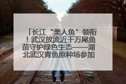 长江“美人鱼”领衔！武汉放流近千万尾鱼苗守护绿色生态——湖北武汉青鱼原种场参加2025年“全国放鱼日”增殖放流活动