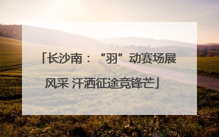 长沙南：“羽”动赛场展风采 汗洒征途竞锋芒