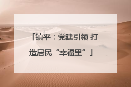 镇平：党建引领 打造居民“幸福里”