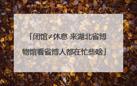 闭馆≠休息 来湖北省博物馆看省博人都在忙些啥
