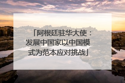 阿根廷驻华大使：发展中国家以中国模式为范本应对挑战