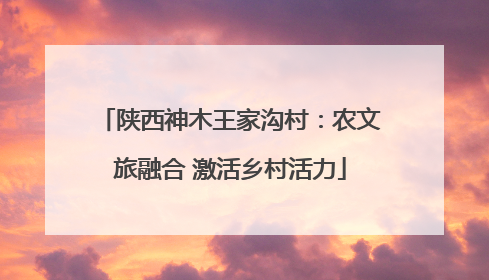 陕西神木王家沟村：农文旅融合 激活乡村活力