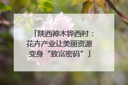 陕西神木铧西村：花卉产业让美丽资源变身“致富密码”