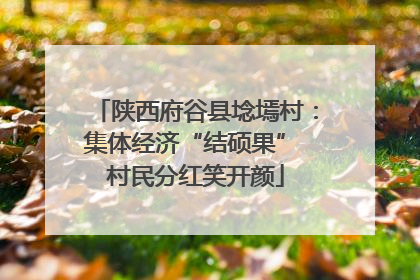 陕西府谷县埝墕村：集体经济“结硕果” 村民分红笑开颜