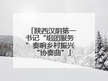 陕西汉阴第一书记“组团服务”奏响乡村振兴“协奏曲”