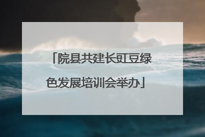 院县共建长豇豆绿色发展培训会举办