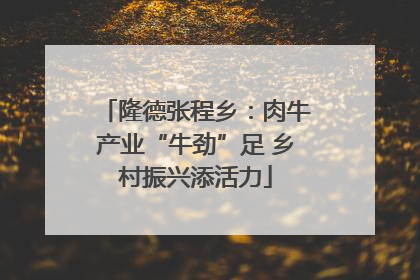 隆德张程乡：肉牛产业“牛劲”足 乡村振兴添活力