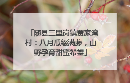 随县三里岗镇贾家湾村：八月瓜缀满藤，山野孕育甜蜜希望