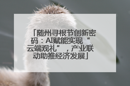 随州寻根节创新密码：AI赋能实现“云端观礼”，产业联动助推经济发展