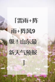 雷雨+阵雨+阵风9级！山东最新天气预报