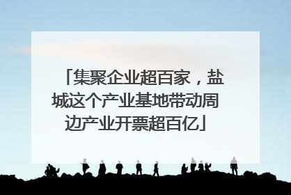 集聚企业超百家，盐城这个产业基地带动周边产业开票超百亿