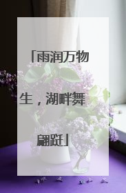 雨润万物生，湖畔舞翩跹
